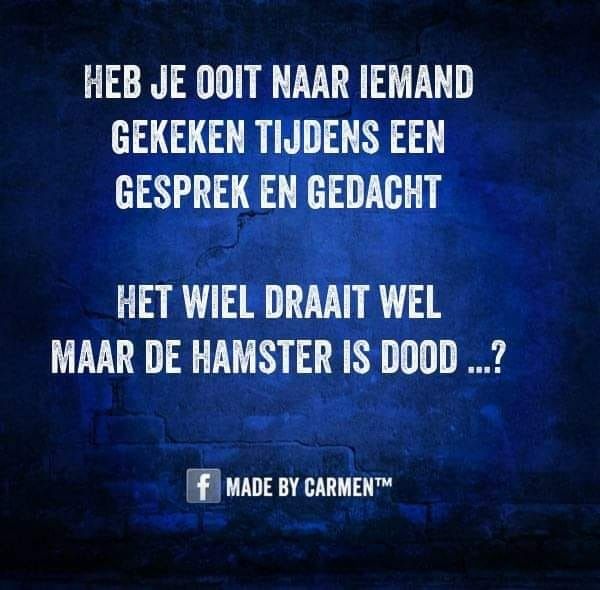 demo gesprekken stay