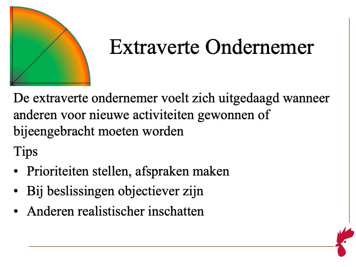 Extravert Ondernemerschap: uitdagingen en tips